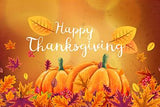 Pumpkin Elements Background Thanksgiving Day Backdrops IBD-19617