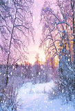 Purple Winter Scenery and Sunset Background Scenic Backdrop IBD-19614