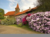 Red Flowers in the Castle of Bohemia Botanical Garden Photography Backdrop IBD-19822 - iBACKDROP-backdrop photography, backdrops photography, castle backdrop, Castle backdrops, Flower Background, Flowers Backdrops, garden backdrop, Photography Background, Red Flower