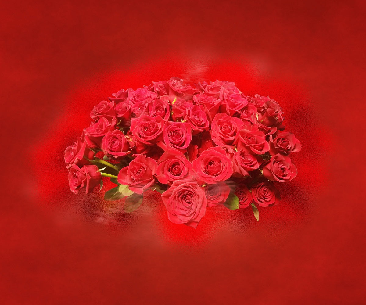 Red Romantic Rose Background For Valentine's Day IBD-24375