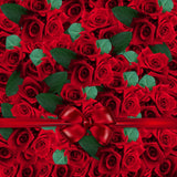 Red Roses Romantic Background For Valentine's Day IBD-24381
