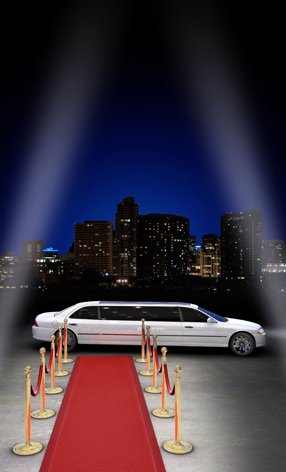 Red Carpet WeddingEvent Custom Backdrop IBD-19435
