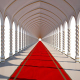 Red Carpet Wedding Backdrop Photography IBD-19428