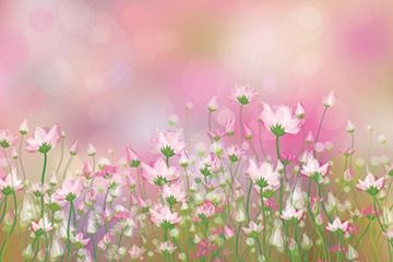 Romantic Pink Flower Magic Backgrounds Picture Backdrops for Photography IBD-19651