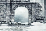 Ruined Castle with Snow Background Photography Backdrop for Winter IBD-19611