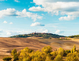 Rural Village Scenery Backdrop For Photography IBD-24608