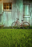 Window And Door Backdrops Green Backdrop Grass Background S-2637