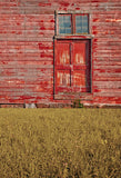 Window Backdrops Custom Photo Backgrounds Red Door Backdrops S-2664