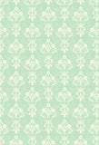 Patterned Backdrops Damask Backdrops Green Background S-2683