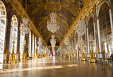 Castle Backdrops Interior Backdrops Golden Backgrounds S-2746