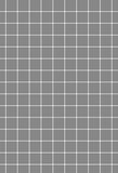Plaid Backdrop Grey Background S-2827