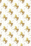Polka Dot Printed Backdrop Unicorns Backdrop White Background S-2868