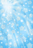 Glitter Patterned Backdrops Snow Background Personalized Backdrops S-2901