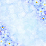 Patterned Backdrops Flower Backgrounds Blue Backdrop S-2982