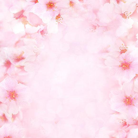 Patterned Backdrops Flowers Background Pink Backdrop S-3002 - iBACKDROP