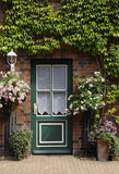 Door Background Backdrop Floral Backdrop S-3057