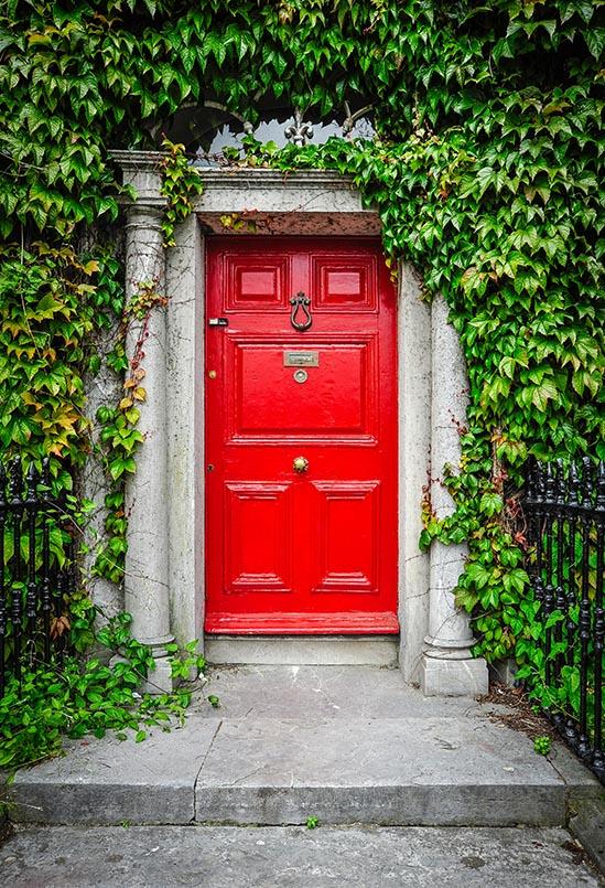Grass Backdrops Scenic Backdrops Red Door Background S-3063