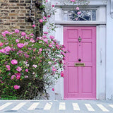 Pink Door Backdrop Background Flowers Backdrop S-3068 - iBACKDROP