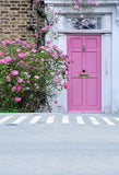 Pink Door Backdrop Background Flowers Backdrop S-3068