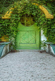 Scenic Backdrops Window Backdrops Photography Background Grass S-3097