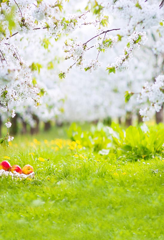 Spring Backdrops