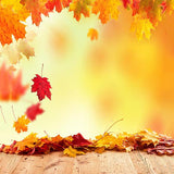 Season Backdrops Autumn Background Maple Leaf Backdrops S-3136