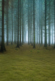 Scenic Backdrops Trees Woodland Backdrops Green Backgrounds S-3151