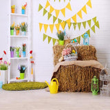 Themed Patterned Backdrop Background Flags Backdrop S-3160 - iBACKDROP