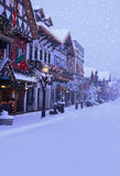 Festival Backdrops Christmas Background Town Backdrop S-3184