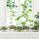 Window Backdrops Scenic Backdrops Photography Background Flowers S-3214 - iBACKDROP