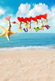 Summer Backdrops Blue Background Beach Backdrops S-3232
