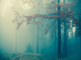 Scenic Landscape Background Blue Mist Backdrop in Autumn Forest IBD-20004