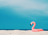 Season Background Summer Photography Backdrop of Swan Toys Floating on the Beach IBD-20145 - iBACKDROP-backdrop for party, Beach Party, festival backdrops, For Photography, Landscape Backdrop, Photography Background, Portrait Photography backdrops, scenic backdrops, season backdrops, sky backdrops, summer backdrops for photography, Swan Toys