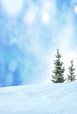 Snow Background in Winter Backdrop for Holiday Photography IBD-19601