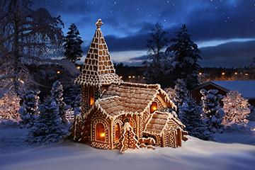 Winter Backdrops