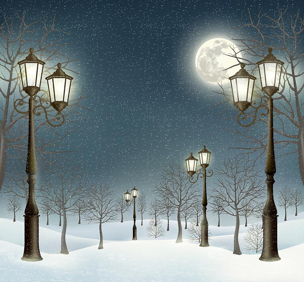Snowy Street Lamp Winter Background Christmas Backdrops IBD-19244