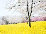 Spring Flower Backdrop For Photography IBD-24454