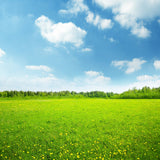 Spring Scenery Background Blue Sky White Cloud Grassland Photography Backdrop IBD-20066