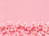 Spring Scenery Background Hyacinth Pink Surprise Dutch Hyacinth Photography Backdrop IBD-20078