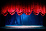 Stage Curtain Background Photography Backdrop IBD-19592