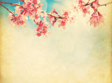 Sun's Sky Retro Color Tone Abstract Natural Background Portrait Photography Backdrop IBD-20064