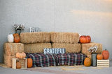 Thanksgiving Background Haystack Pumpkin Sofa Backdrop IBD-19672