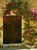 There are Flowering Houses Around the Sandstone Walls Backdrops Artistic Photography Style Background IBD-19862