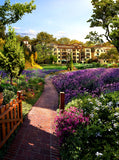 Villa Flower Garden Backdrop For Photography IBD-24565
