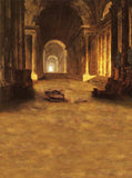 Vintage Palace Corridor Architecture Backdrop For Photography GY-025