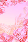 Warm Flower Background Pink Birthday Backdrop for Baby Girl IBD-19556