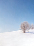 Winter Scenery Background Snow Silver Tree Photography Backdrops IBD-20062