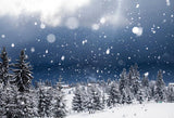Blue Winter Snow Scenery Forest Photo Backdrop IBD-24167 - iBACKDROP-chr, chri, chris, christ, christm, Christmas Backdrops, Christmas Background, christmas tree, forest, New Arrivals, photography backdrops, white, win, wint, winte