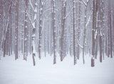 Winter Background White Snow Forest Background for Portrait Photography IBD-19798