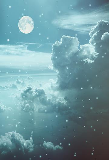 Winter Landscape Sky Background Photography Backdrop IBD-19596